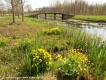 Groene Wissel Utrecht-Terwijde