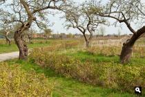 Leidsche Rijn Park 2