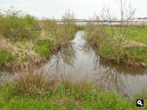 Haarrijnse Plas