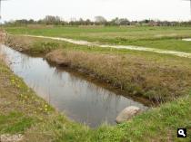 Thematenvelden, natuurontwikkeling