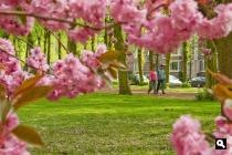 Huis te Landelaan