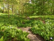 LG Huis te Werve, heemtuin