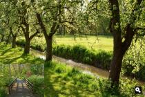  Landgoed Steenvoorde