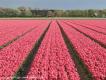 Groene Wissel Heiloo
