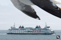 Boot naar Texel