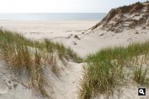 Noordzeestrand