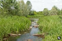 Natuurgebied