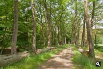 Landgoed Slangenburg