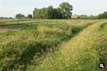 Akkermansbeek