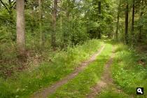  Boswachterij Ruurlo
