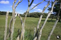 Groene Wissel Zandvoort