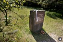 Groene Wissel Zandvoort