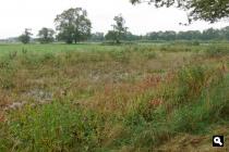 Langoed Leusveld 2