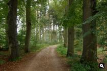Langoed Leusveld