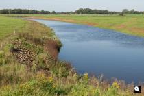Vecht