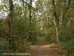 Groene Wissel Vroomshoop
