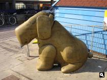 Hond bij de pont