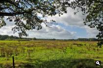 Drentsche Aa - Diepenveen