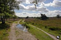 Gasterse Duinen