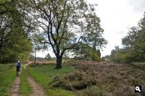 Drouwenerzand