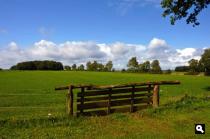 Bronnegermaden
