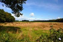 Zuiderveld