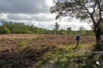 hunebedden in het Valtherbos