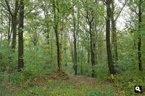 Klein Zwitserland