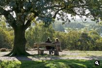 Mookerheide, heide 3