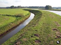 langs de Esschestroom (okt 2010)
