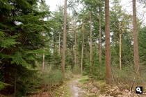 Landgoed Huys te Maarn