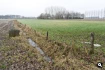 Brabants boerenland