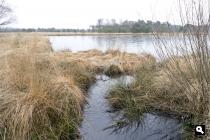 Kampina, Huisvennen