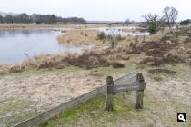Kampina, Huisvennen