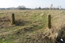Polder Glimmen