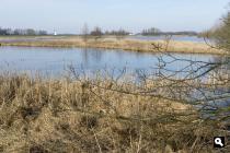 Drentsche Aa