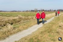 Polder Glimmen