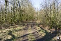 Woudlaan