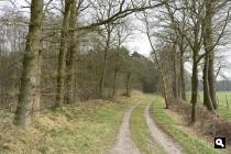 Achter Es
