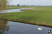 Riviertje de Tweede