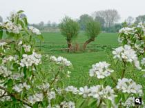 Vanaf de Lingedijk