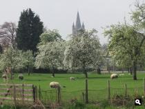 Groene Wissel Kapelle-Biezelinge