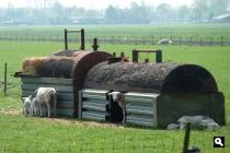 Groene Wissel Leerdam