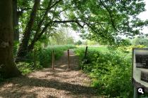 Groene Wissel Leerdam