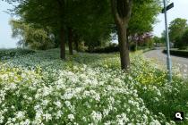 Groene Wissel Leerdam