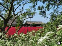 Groene Wissel Schagen