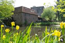Watermolen Berenschot
