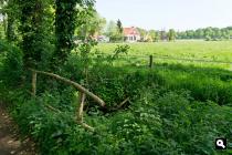 Brinkheurnseveld