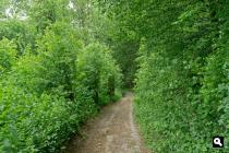 Holle weg