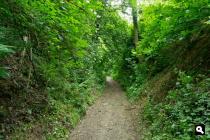 Holle weg